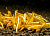 Креветка Yellow Neon 